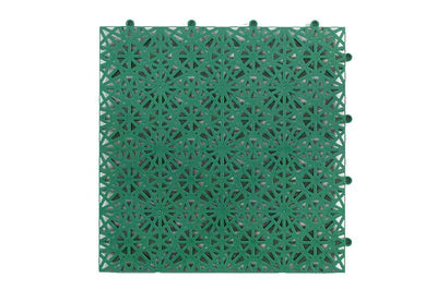 BERGO EXCELLENCE (OMI)